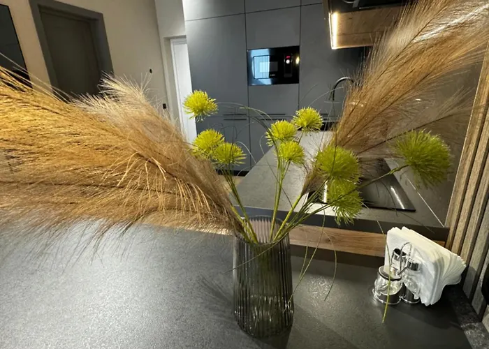 в жк вікінг пимоненка зелена アパート *